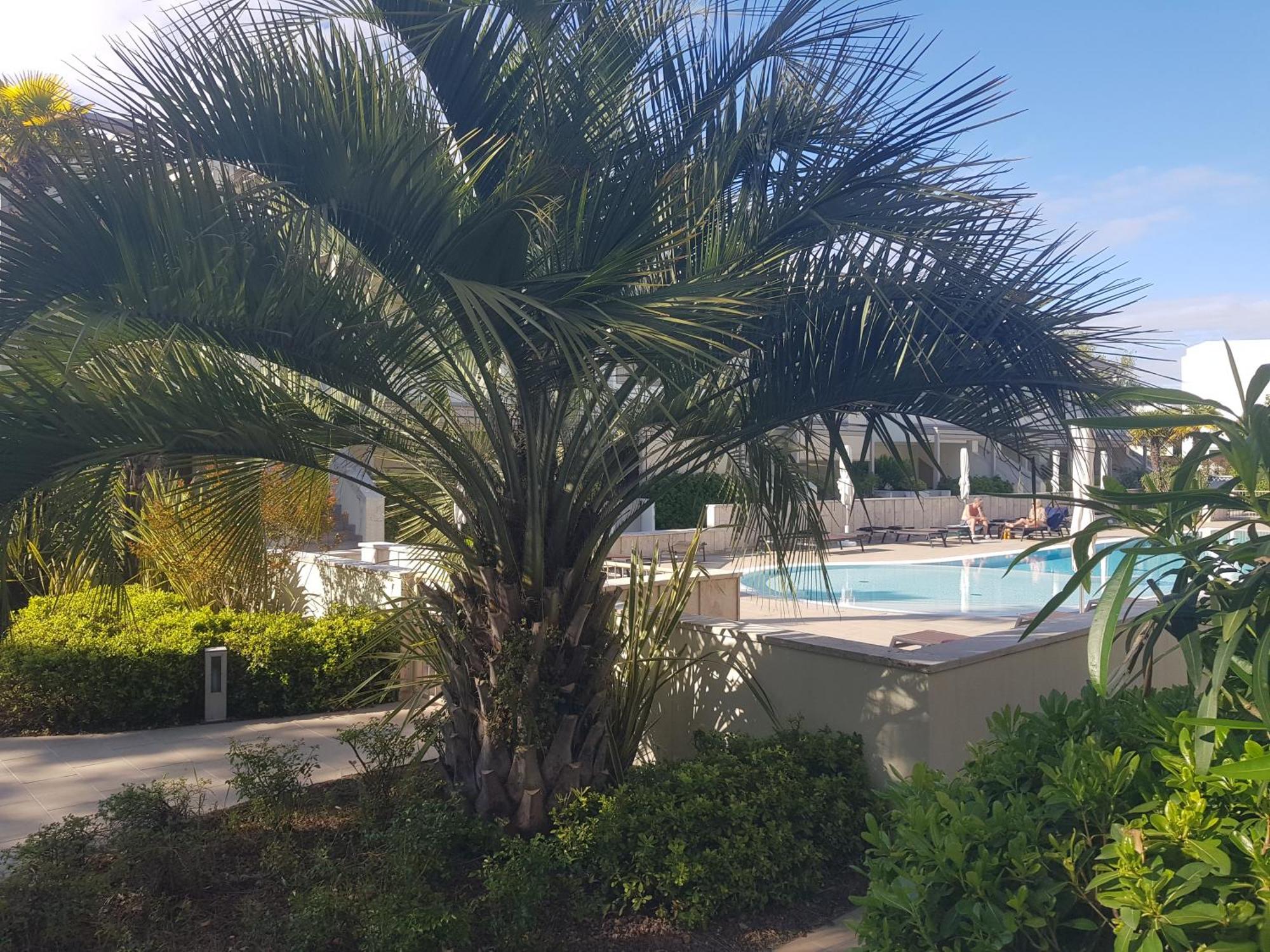 Residence Jesolo Lido Centro Con Piscina Dış mekan fotoğraf